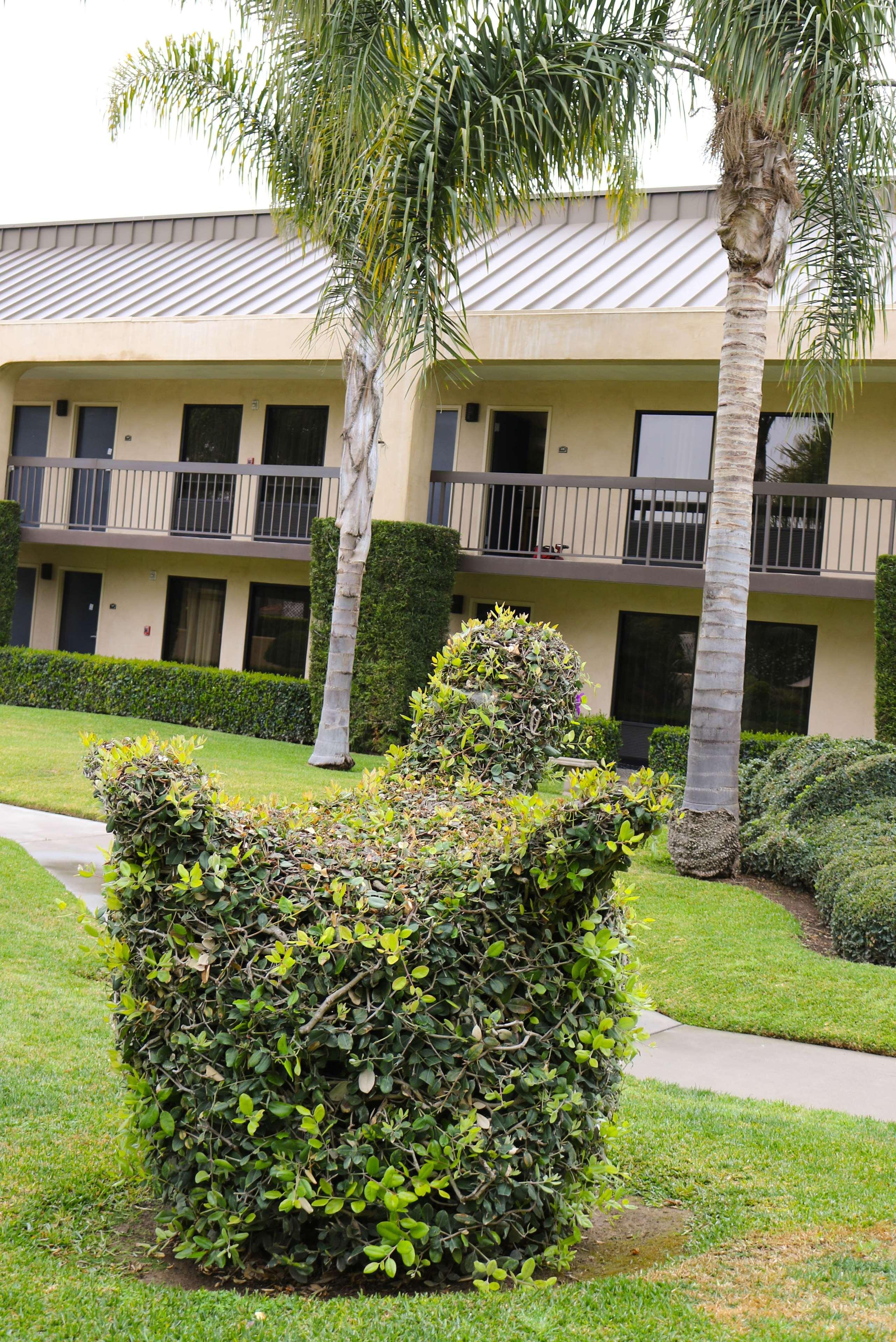 Best Western Plus South Coast Inn Goleta Esterno foto
